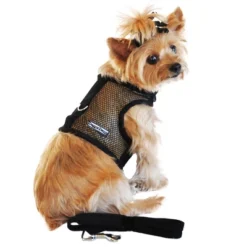 Doggie Design Cool Mesh Dog Netted Harness With Leash - Solid Black -PawHut Sales Store GUEST 8f4dedde 81d8 461e bd9a 6adc05df8261