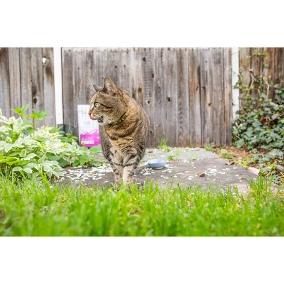 I And Love And You Naked Essentials Salmon And Trout Fish Dry Cat Food - 11lbs 2 I And Love And You Naked Essentials Salmon And Trout Fish Dry Cat Food - 11lbs - Image 2