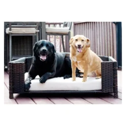 Iconic Pet Beds For Dogs And Cats - Rattan Rectangular Sofa 17 Iconic Pet Beds For Dogs And Cats - Rattan Rectangular Sofa -PawHut Sales Store GUEST 901c0921 b79e 4344 b337 baaccc7c0b23 1