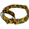 Country Brook Design Sugar Skulls Martingale Dog Collar