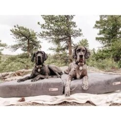 Big Barker 7" Orthopedic Dog Bed - Sleek Edition 11 Big Barker 7" Orthopedic Dog Bed - Sleek Edition -PawHut Sales Store GUEST 905e143a e37d 4e20 9d59 c6aa1d4df57e