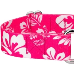 Country Brook Petz - Pink Hawaiian Martingale Dog Collar -PawHut Sales Store GUEST 91f7dd9d 00df 4075 b06a 8e08924ae13a