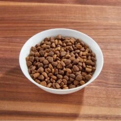 IAMS Proactive Health Hairball Care With Chicken & Salmon Adult Premium Dry Cat Food 9 IAMS Proactive Health Hairball Care With Chicken & Salmon Adult Premium Dry Cat Food -PawHut Sales Store GUEST 92072f47 4d85 4361 8ba2 0e63297325c3