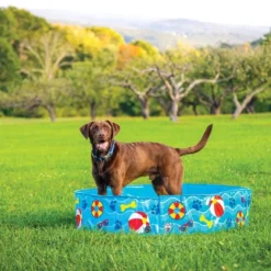 BigMouth Inc. Patterns & Splashes Foldable Hard Side Dog Pool -PawHut Sales Store GUEST 92e95460 2329 4022 adcd a9a70183f0be