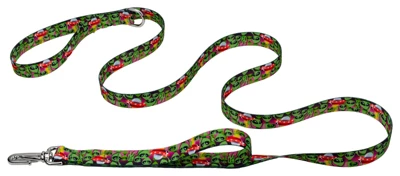 Country Brook Petz Deluxe Space Aliens Dog Leash 3 Country Brook Petz Deluxe Space Aliens Dog Leash - Image 3