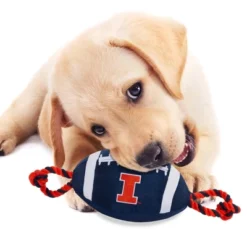 NCAA Illinois Fighting Illini Nylon Football Dog Toy -PawHut Sales Store GUEST 952fa5cd 02b7 4fab ab07 2094c7de146b