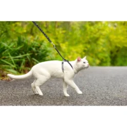 PetSafe Come With Me Kitty And Bungee Adjustable Leash Cat Harness - Blue -PawHut Sales Store GUEST 953b43e6 13c6 464f 97c8 c326de5a8a27