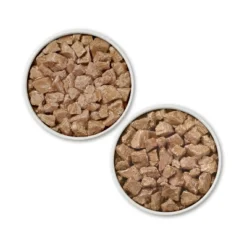 Purina ONE SmartBlend True Instinct Tender Cuts In Gravy With Real Turkey,Chicken, Duck And Venison Wet Dog Food - 13oz/6ct Variety Pack