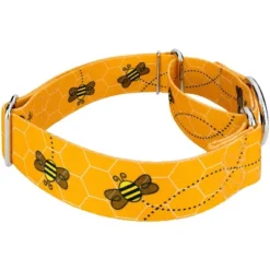 Country Brook Petz 1 1/2 Inch Busy Bee Martingale Dog Collar -PawHut Sales Store GUEST 979d29d9 7daf 4781 ad1b a340b392b272