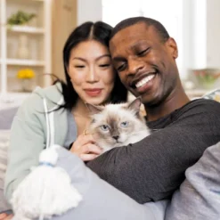 IAMS Advanced Healthy Digestion With Turkey & Chicken Flavour Adult Dry Cat Food - 7lbs -PawHut Sales Store GUEST 98c557b1 ab63 4fe7 af61 278c6891bfbf