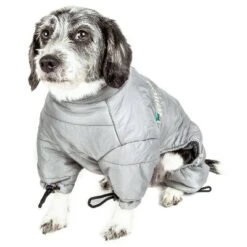 Dog Helios Thunder-Crackle Full-Body Waded-Plush Adjustable And 3M Reflective Dog Jacket - Gray -PawHut Sales Store GUEST 98cc84b2 9123 4d23 a902 96d162d593d4