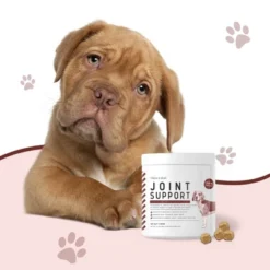 Chew + Heal Hip & Joint Support, Dog Supplement, Increase Pet Mobility & Strength - 120 Delicious Chews 9 Chew + Heal Hip & Joint Support, Dog Supplement, Increase Pet Mobility & Strength - 120 Delicious Chews -PawHut Sales Store GUEST 99f57e79 8f79 4da0 8b46 e6953a7f2c69
