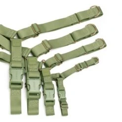 AWOO Roam No-pull Adjustable Recycled Dog Harness 7 AWOO Roam No-pull Adjustable Recycled Dog Harness -PawHut Sales Store GUEST 9c72c860 13de 4900 bf3c f41f7fa209e3