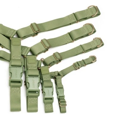 AWOO Roam No-pull Adjustable Recycled Dog Harness 3 AWOO Roam No-pull Adjustable Recycled Dog Harness - Image 3