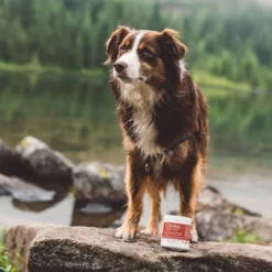 Fera Pet Organics Cardiac Heart Support Powder For Dogs And Cats - Fish Flavor -PawHut Sales Store GUEST 9dab2347 7d92 4bae bc96 f551fb1b8903