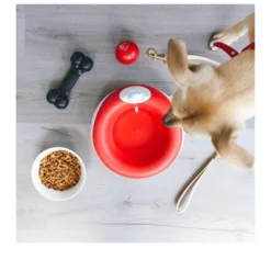 Torus Pet Torus Maxi 2-Liter Automatic Dispenser Cordless Water Bowl -PawHut Sales Store GUEST 9f02cc04 1f0e 472e bda0 b18ded82e2ae