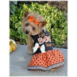 DOGGIE DESIGN Holiday Dog Harness Halloween Dress