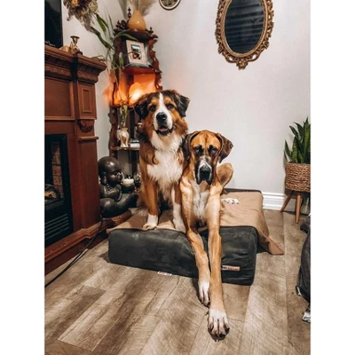 Big Barker 7" Orthopedic Dog Bed - Sleek Edition 1 Big Barker 7" Orthopedic Dog Bed - Sleek Edition