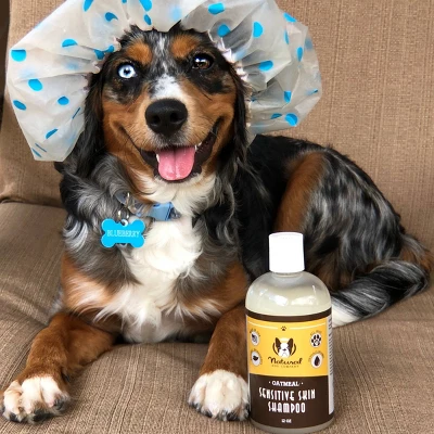 Natural Dog Company Sensitive Skin Shampoo - 12oz 4 Natural Dog Company Sensitive Skin Shampoo - 12oz - Image 4