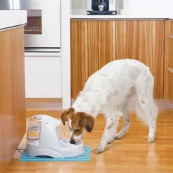 PetSafe Platinum Pet Fountain -PawHut Sales Store GUEST a0f0c022 2335 4127 96d4 547cacfc55a0