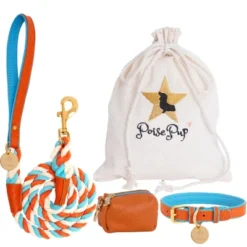 PoisePup - Luxury Pet Dog Leash - Soft Premium Italian Leather And 100% Natural Cotton Rope Leash - Vibrant Sunset