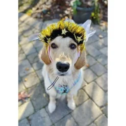 Midlee Sparkle Happy Birthday Dog Headband (Pink)