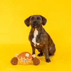 PetShop By Fringe Studio Waffle And Chicken Dog Toys - 3pk -PawHut Sales Store GUEST a2b75d76 faef 4004 8a21 1000fd0d5dc2