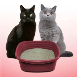 Arm & Hammer Clump & Seal Multi-Cat Litter -PawHut Sales Store GUEST a31faa07 154b 4c6f ba11 6f53b8198e79