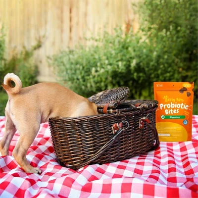 Zesty Paws Gut Health Probiotic Soft Chews For Dogs - Pumpkin Flavor - 60ct 2 Zesty Paws Gut Health Probiotic Soft Chews For Dogs - Pumpkin Flavor - 60ct - Image 2