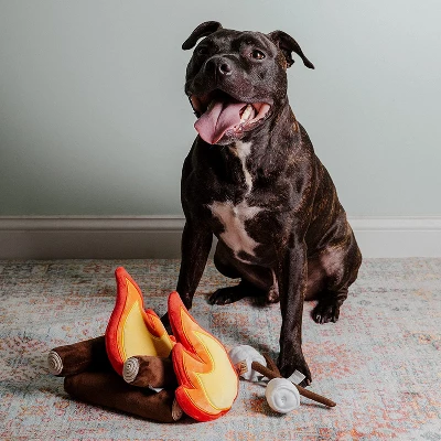 Midlee Campfire Dog Toy 5 Midlee Campfire Dog Toy - Image 5