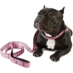 Zodaca 2 Piece Set American Flag Collar And Leash For Medium And Large Dogs