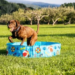 BigMouth Inc. Patterns & Splashes Foldable Hard Side Dog Pool -PawHut Sales Store GUEST a5667838 233d 4e5d bce7 76c7543054fa