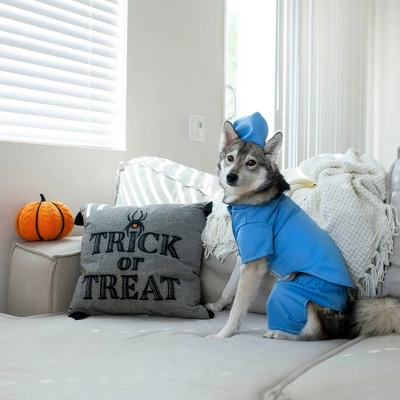 Midlee Scrubs Dog Costume - (XXX-Large) 1 Midlee Scrubs Dog Costume - (XXX-Large)