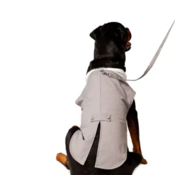 Midlee Dog Tuxedo Wedding Suit- Gray Top Hat & Leash -PawHut Sales Store GUEST a874981a 8399 45a7 b8fd 58441be839e2