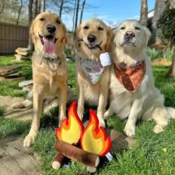 Midlee Campfire Dog Toy 7 Midlee Campfire Dog Toy -PawHut Sales Store GUEST a8905ef5 65f0 47f8 9108 423080f6e814