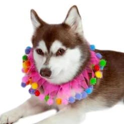 Midlee Pink Birthday Pom Pom Dog Collar 11 Midlee Pink Birthday Pom Pom Dog Collar -PawHut Sales Store GUEST a8d687bb bc2e 4497 9e6a b9db69284c71