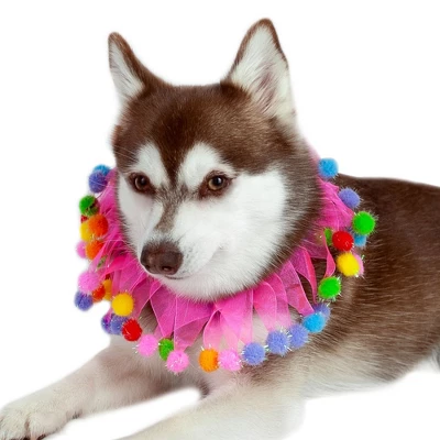 Midlee Pink Birthday Pom Pom Dog Collar 4 Midlee Pink Birthday Pom Pom Dog Collar - Image 4