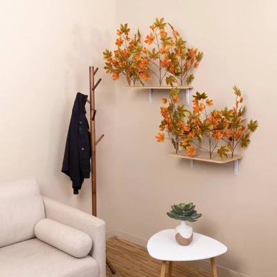 On2Pets Summer Rectangle Cat Canopy Shelves - Orange/Green - 2ct 1 On2Pets Summer Rectangle Cat Canopy Shelves - Orange/Green - 2ct