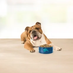 Blue Buffalo Basics Skin & Stomach Care Grain Free Natural Duck & Potato Adult Dry Dog Food - 22lbs -PawHut Sales Store GUEST aa271f50 2e42 424d 808b 2e829f449fd8 4