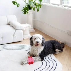 Midlee Love Bug Valentine's Day Dog Toy -PawHut Sales Store GUEST ab98d883 ba2b 481a 805d 52ff2c2d4f8e