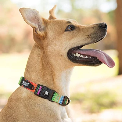 Leashboss Patterned Reflective Dog Collar 2 Leashboss Patterned Reflective Dog Collar - Image 2
