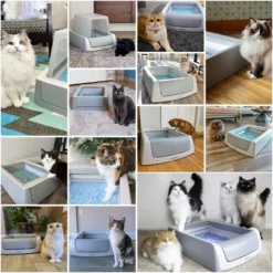PetSafe ScoopFree Covered Self-Cleaning Cat Litter Box -PawHut Sales Store GUEST aca487b6 9a36 480a 9789 3f2632539b79 1