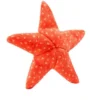 Fluff And Tuff Ziggy Starfish Dog Toy