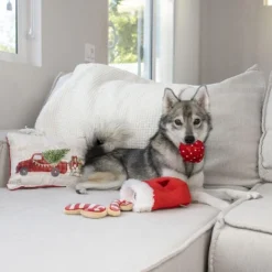 Find A Toy Christmas Stocking Dog Toy