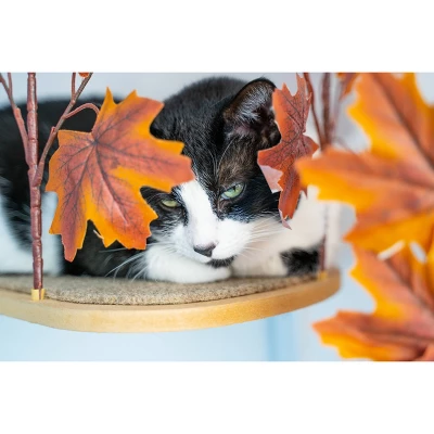 On2Pets Autumn Cat Canopy Shelves - Purple - 2ct 2 On2Pets Autumn Cat Canopy Shelves - Purple - 2ct - Image 2