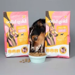 Solid Gold Hund-n-Flocken Everyday Nutrition All Ages Dry Dog Food With Lamb Flavor - 12lbs -PawHut Sales Store GUEST af3c11c6 cacf 4705 8d1d ce8ce7085e30
