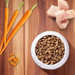 IAMS Healthy Aging Adult Dry Dog Food For Mature And Senior Dogs With Real Chicken