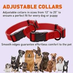 Dogline Biothane Waterproof Collar With QR Buckle Red -PawHut Sales Store GUEST b376226f 59a7 436b a9d0 73d0e81f730e