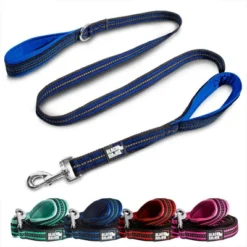 Black Rhino Dog Leash 5ft Long Double Handle W/ Reflective Lead - Aqua 13 Black Rhino Dog Leash 5ft Long Double Handle W/ Reflective Lead - Aqua -PawHut Sales Store GUEST b3d01bdc 13b0 47d5 b900 89854a4007be