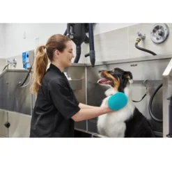 Groomer Essentials 2-in-1 Rubber Grooming Glove